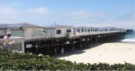 Pier Life